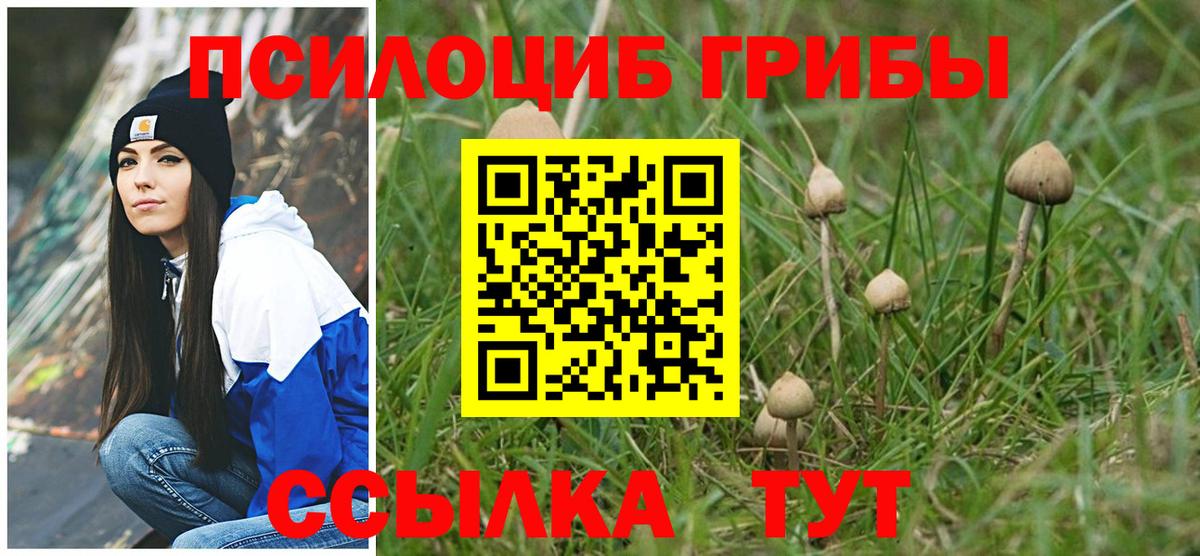 Псилоцибиновые грибы GOLDEN TEACHER Конаково