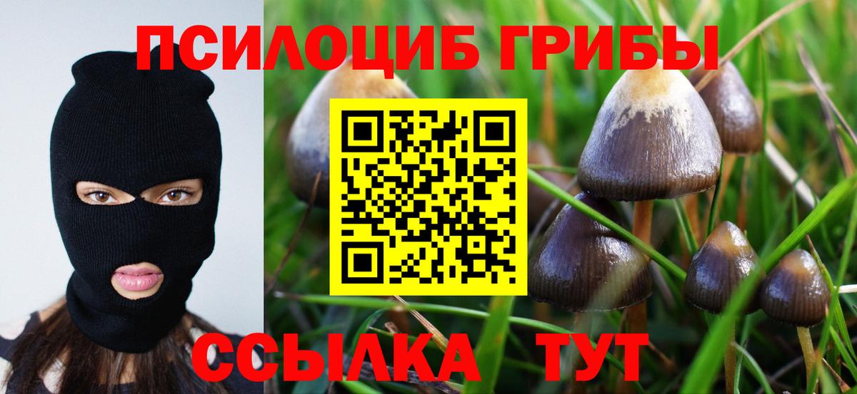 Галлюциногенные грибы прущие грибы  Вход с VPN  дарнет шоп  Конаково 